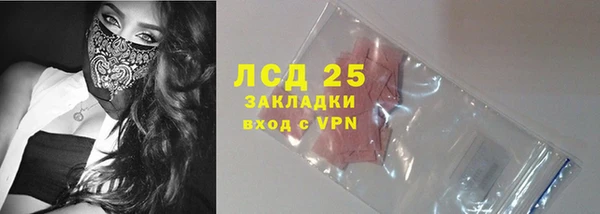 шишки Бердск
